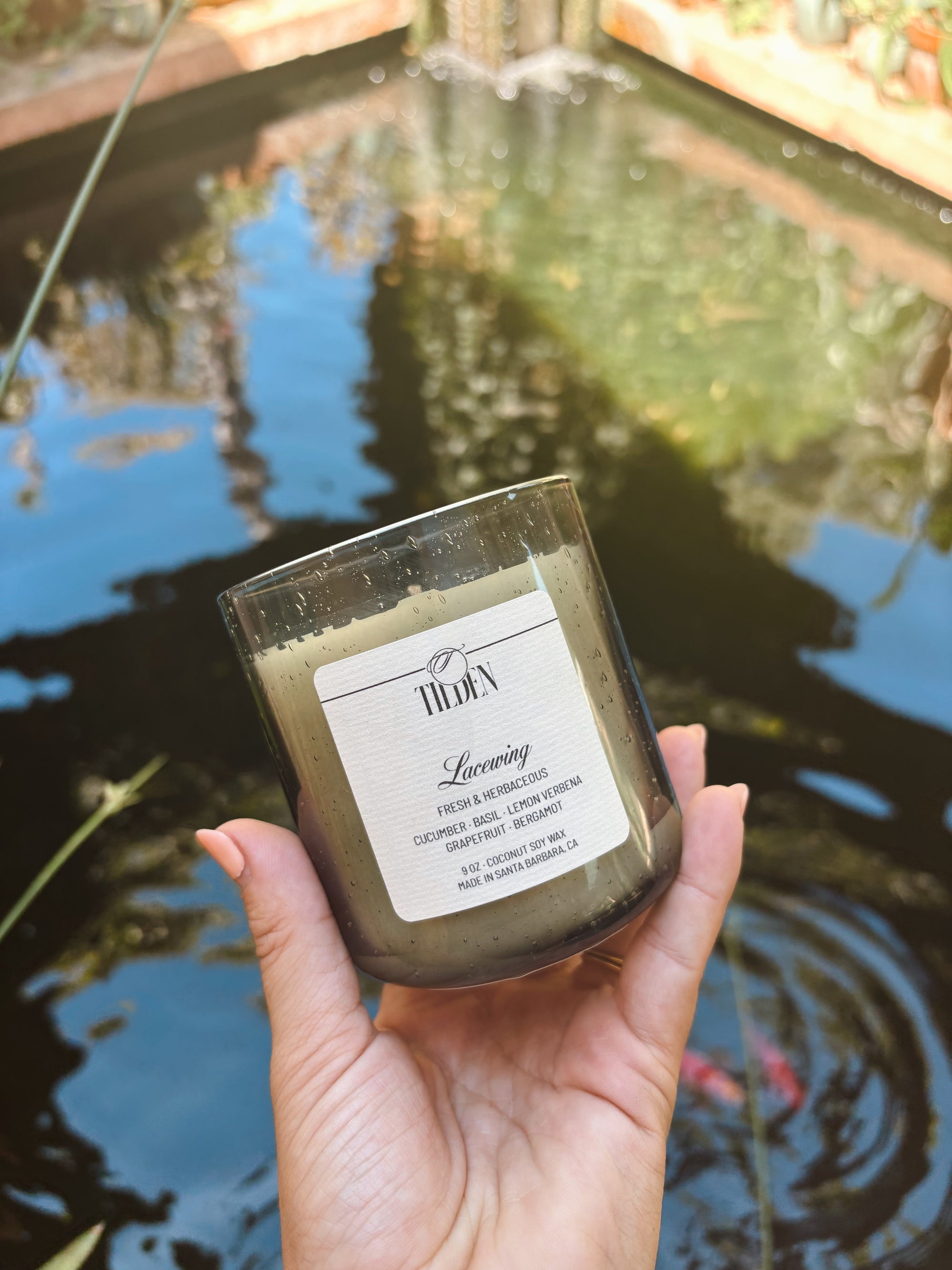 Lacewing Candle Set